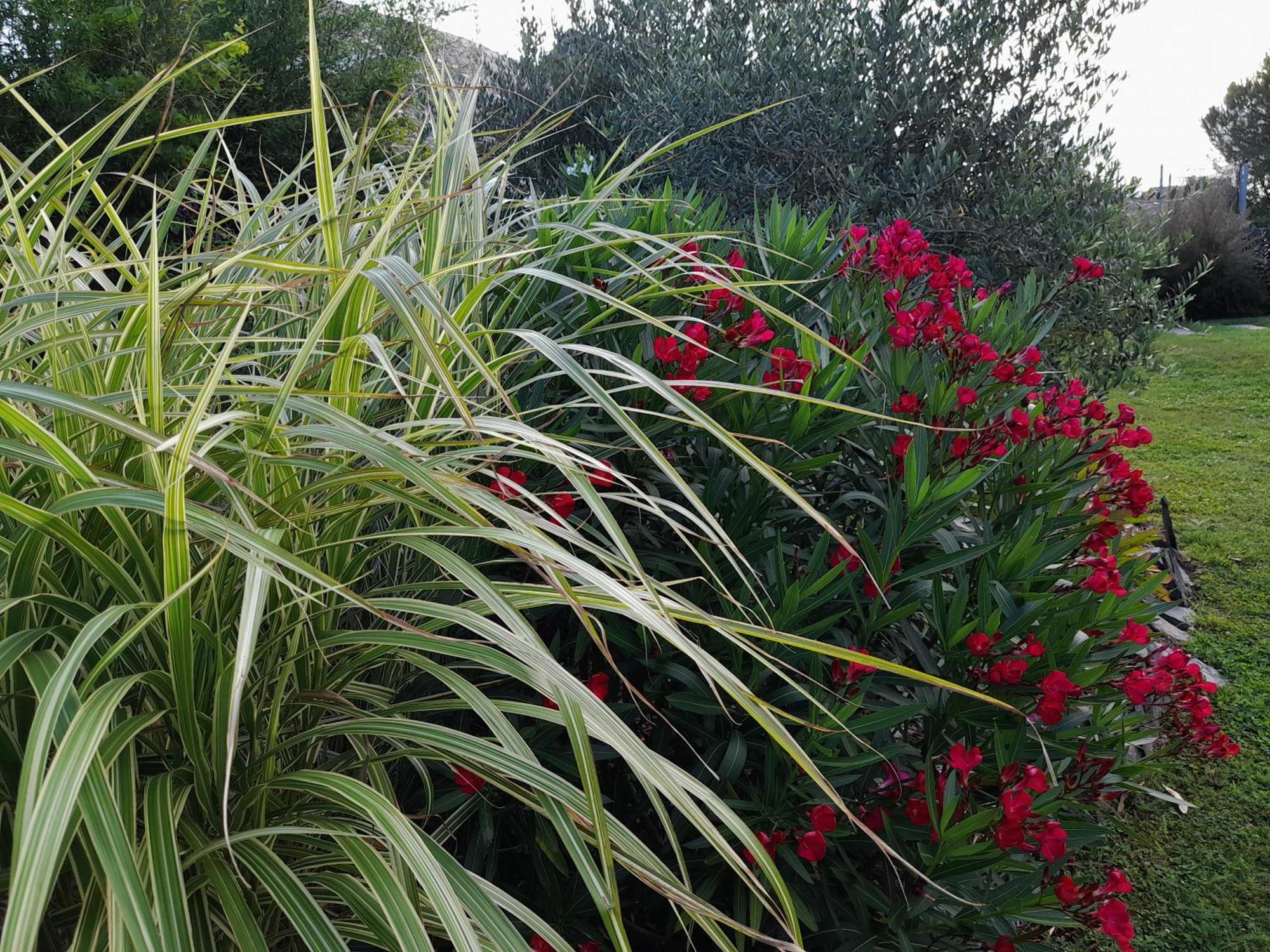 Angrie Chambre Dans Un Ecrin De Verdure المظهر الخارجي الصورة